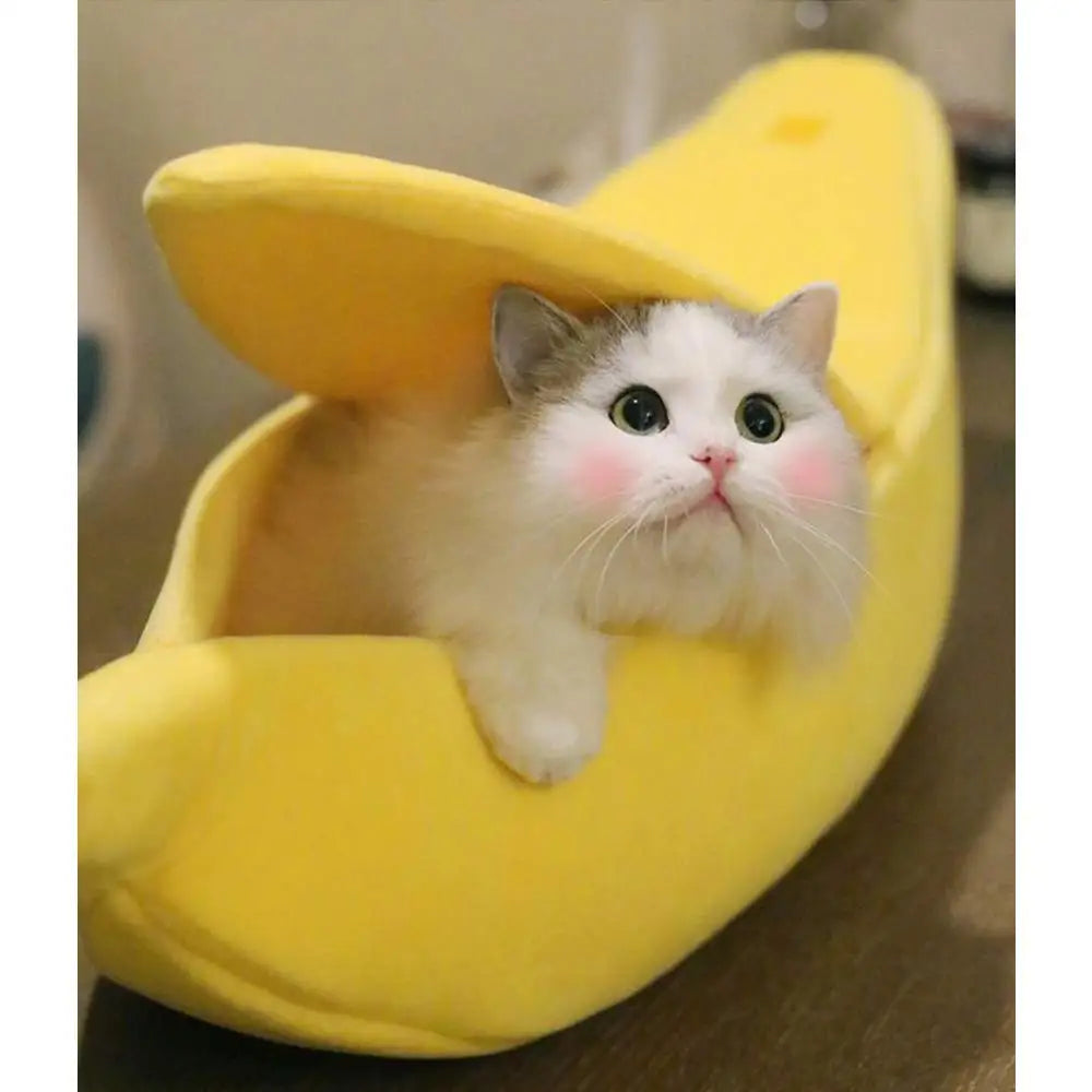 Banana Cat Bed
