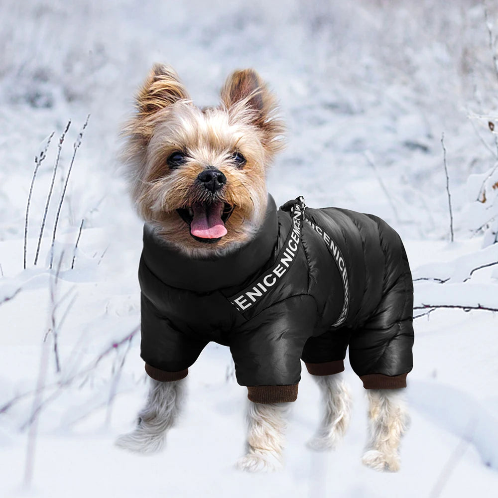 Winter Waterproof Warm Dog Coat