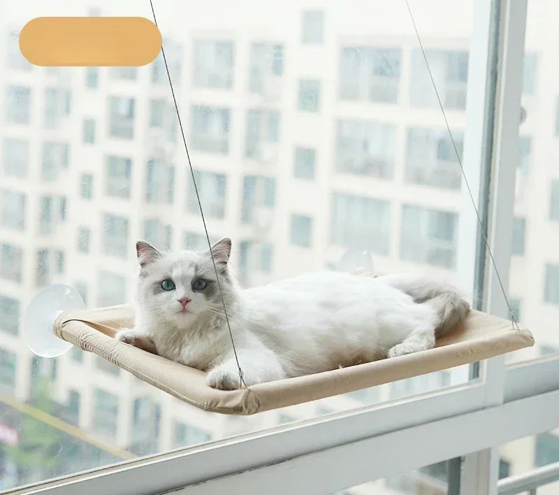 Hanging Cat Hammock Bed