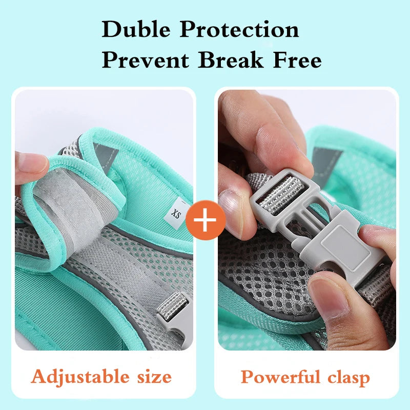 Adjustable Pet Harness Set