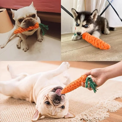 Carrot Knot Pet Toy