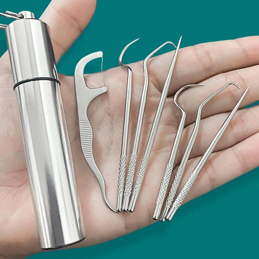 Stainless Steel Portable Dental Cleaner Set