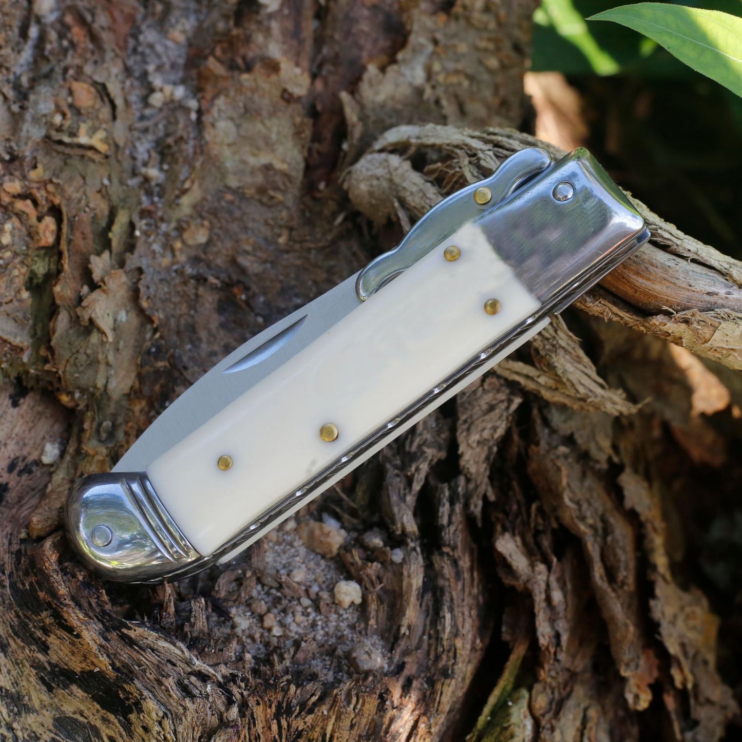 Outdoor Folding Tool with Natural Bone Handle