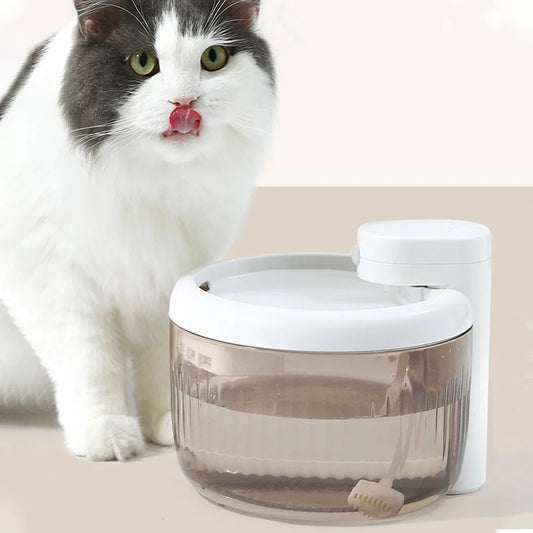 Pet Water Fountain