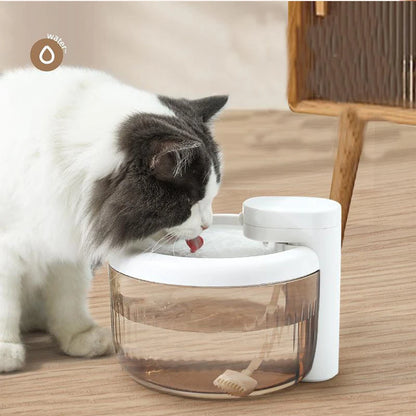 Pet Water Fountain