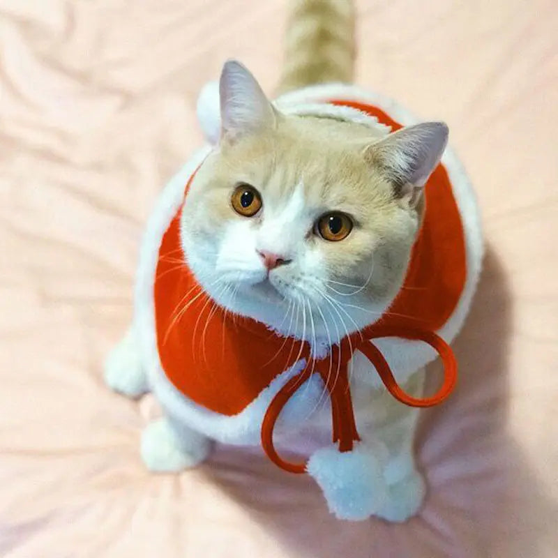 Santa Transform Pet Cape