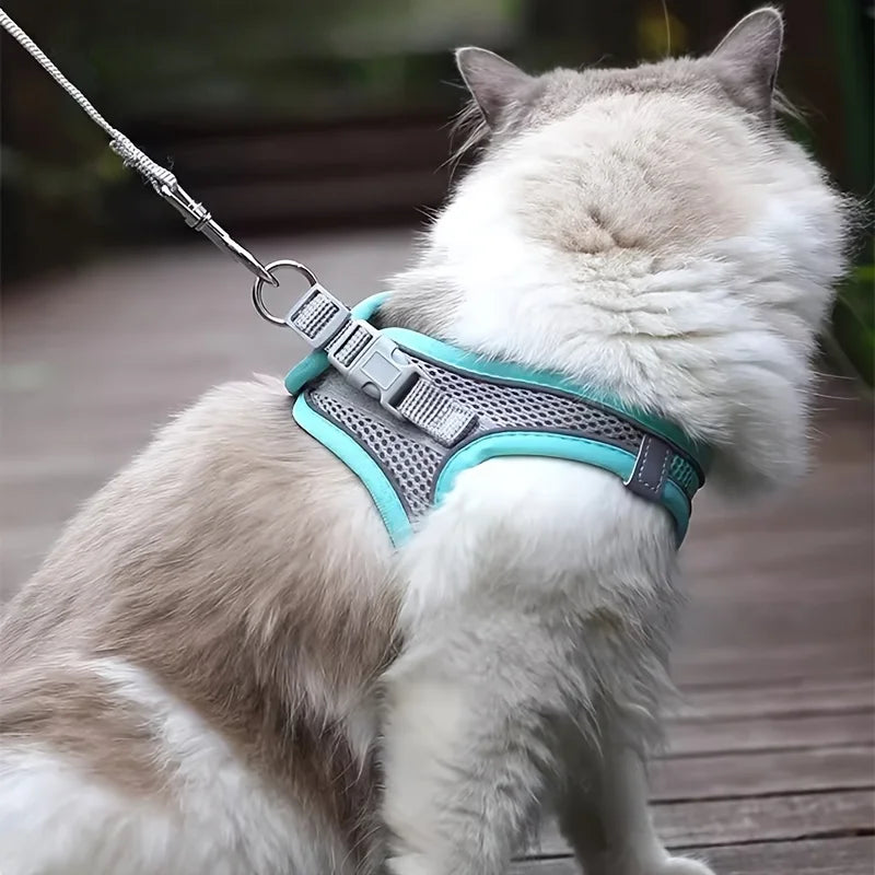 Adjustable Pet Harness Set