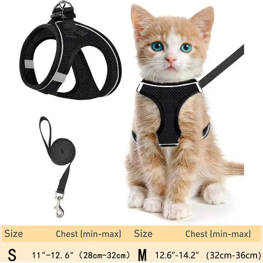 Escape-Proof Pet Harness