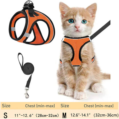 Escape-Proof Pet Harness