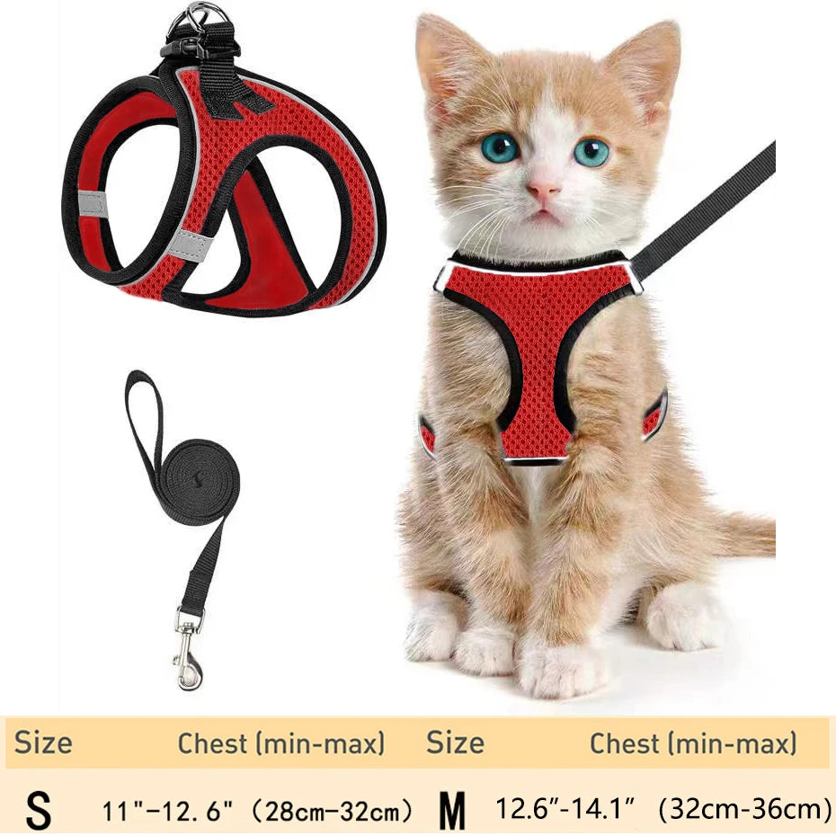 Escape-Proof Pet Harness