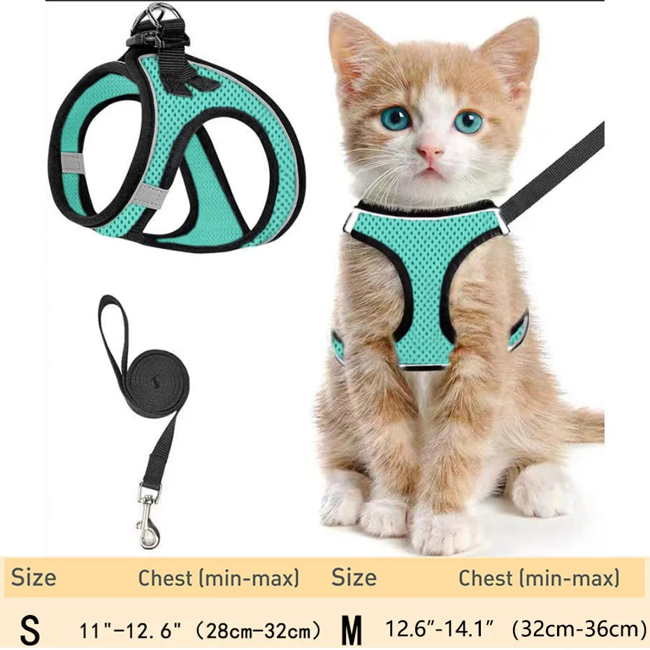 Escape-Proof Pet Harness