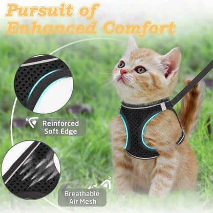 Escape-Proof Pet Harness