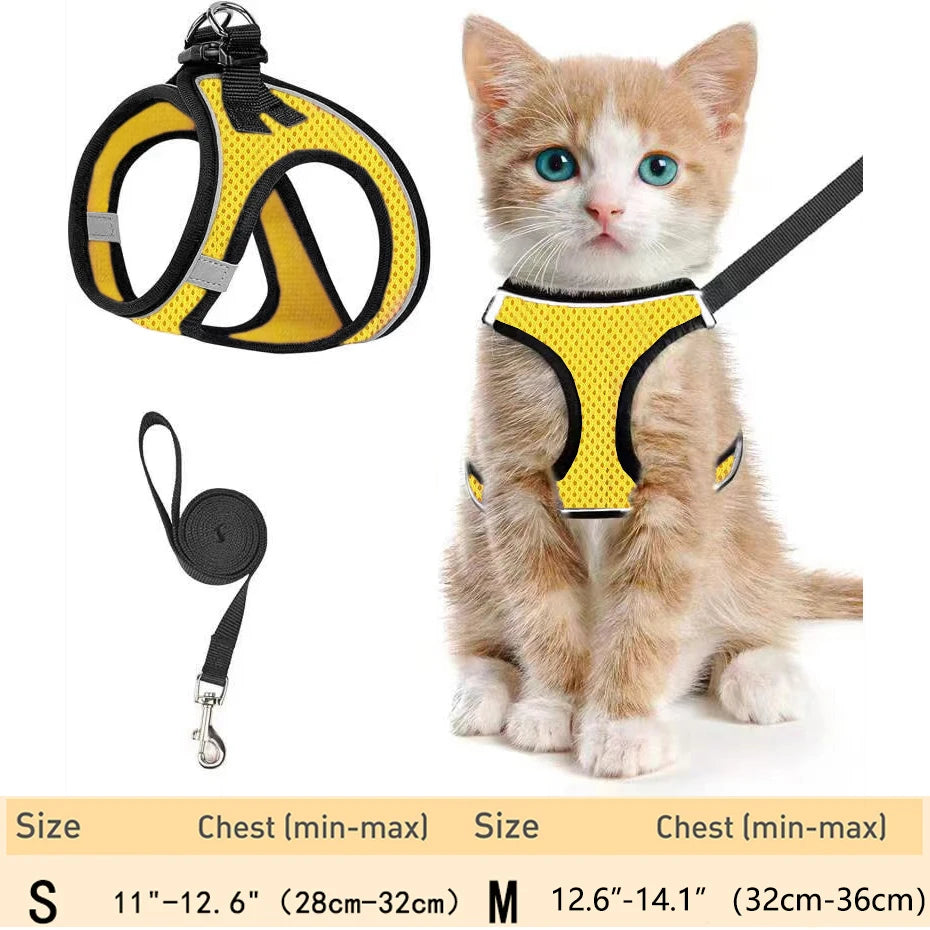 Escape-Proof Pet Harness