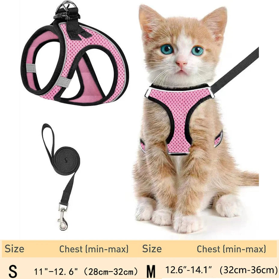 Escape-Proof Pet Harness