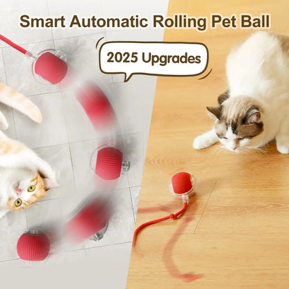 SmartPaw Roll'n'Tail