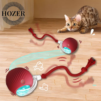 Smart Interactive Rolling Ball Toy