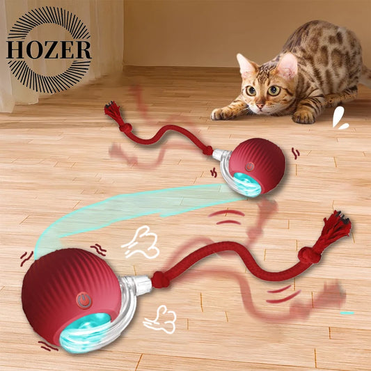 Smart Interactive Rolling Ball Toy