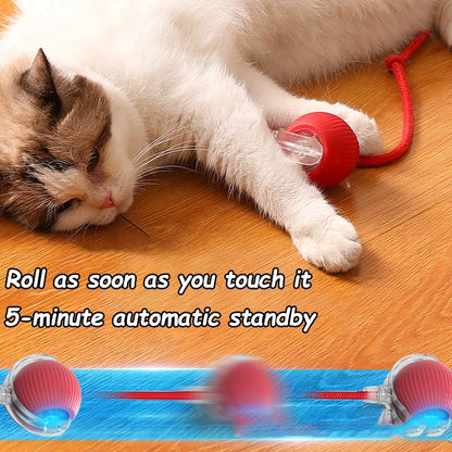 Smart Interactive Rolling Ball Toy