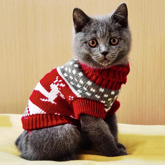 CuteKitty Winter Pullover