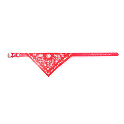 Cute Printed Triangular Pet Collar