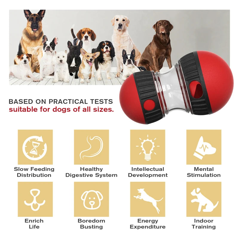 Intelligent Rolling Track Dog Toy