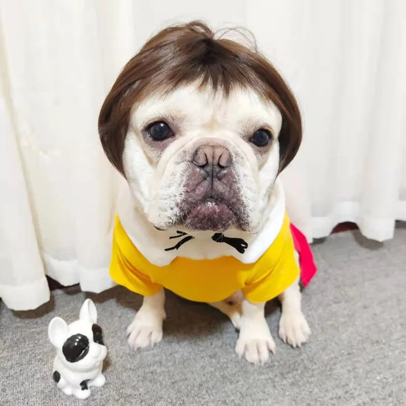 Pet Wig Hats