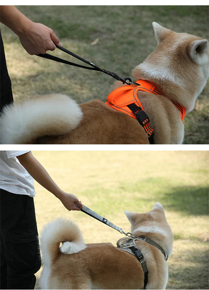 Durable Pet Traction Leash