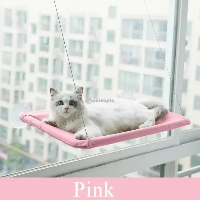 Hanging Cat Hammock Bed