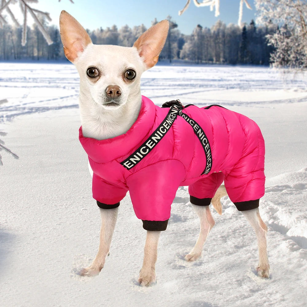 Winter Waterproof Warm Dog Coat