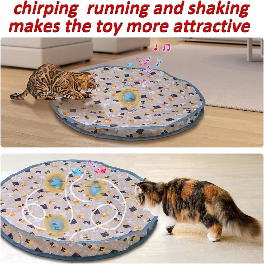 RollNSeek Cat Toy