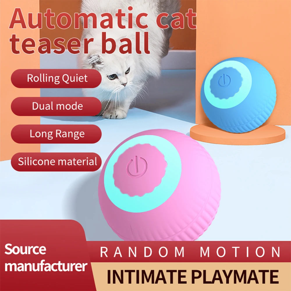 RollNSeek Cat Toy