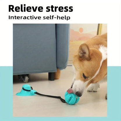 Interactive Suction Cup Dog Toy