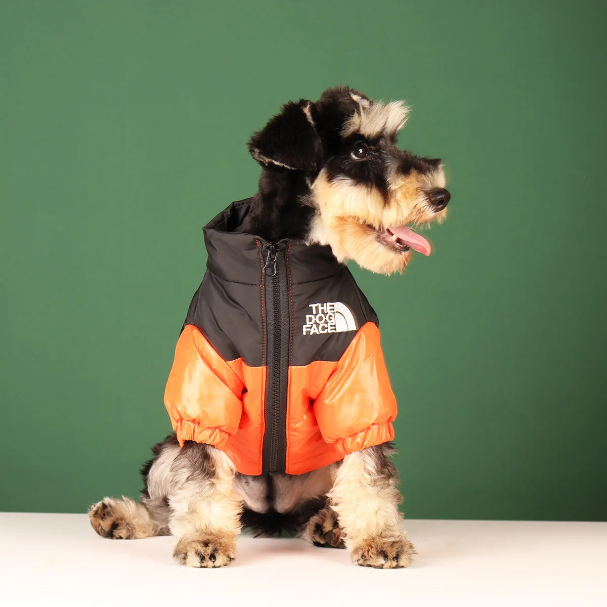 Winter Warm Pet Windbreaker