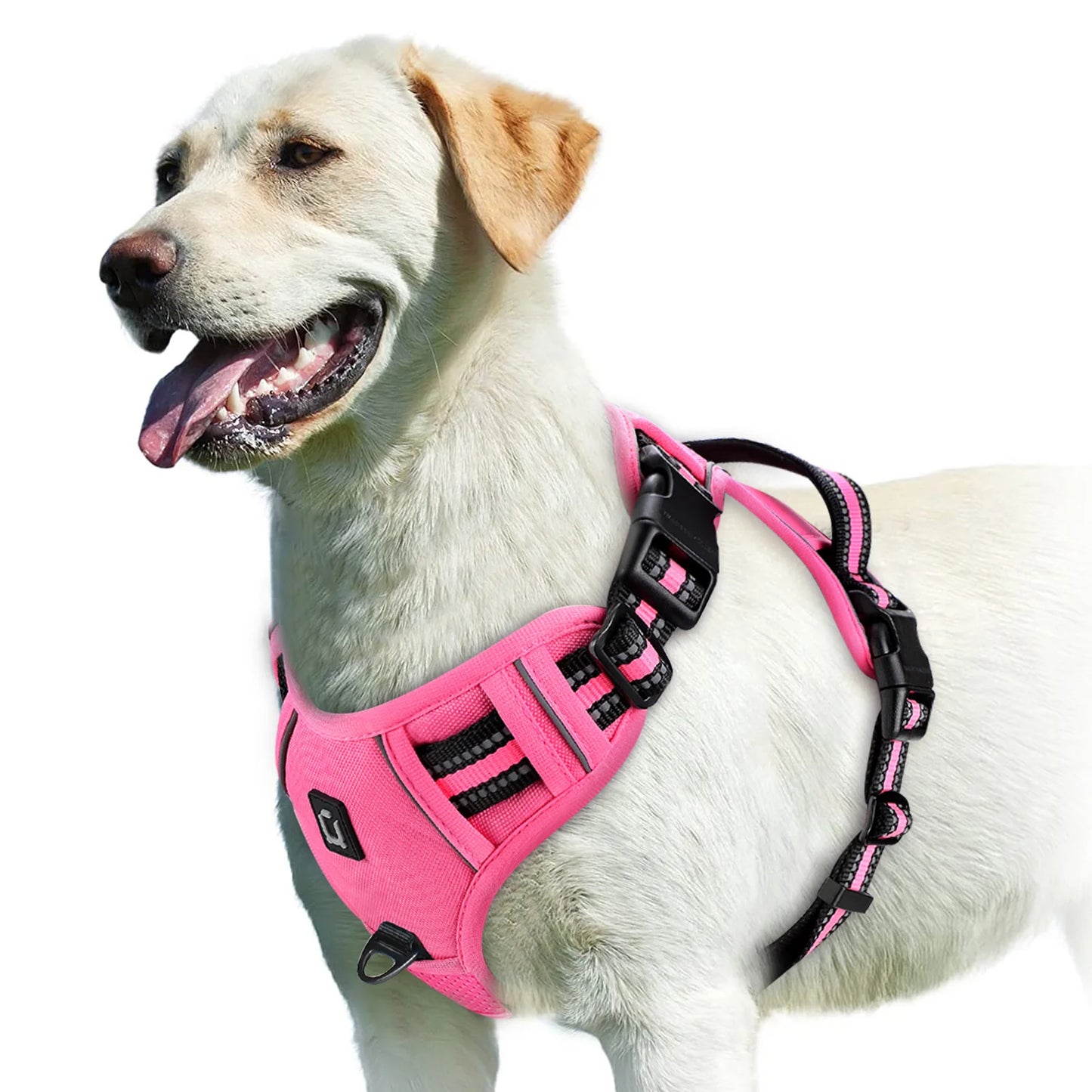 No-Pull Pet Harness