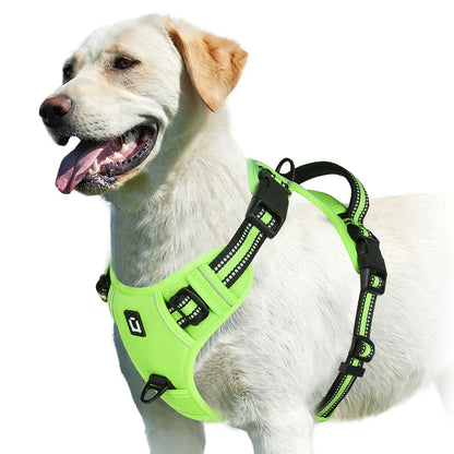 No-Pull Pet Harness