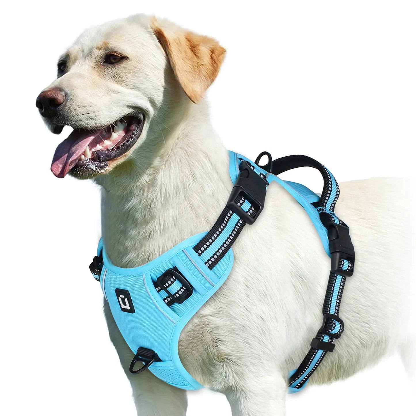 No-Pull Pet Harness