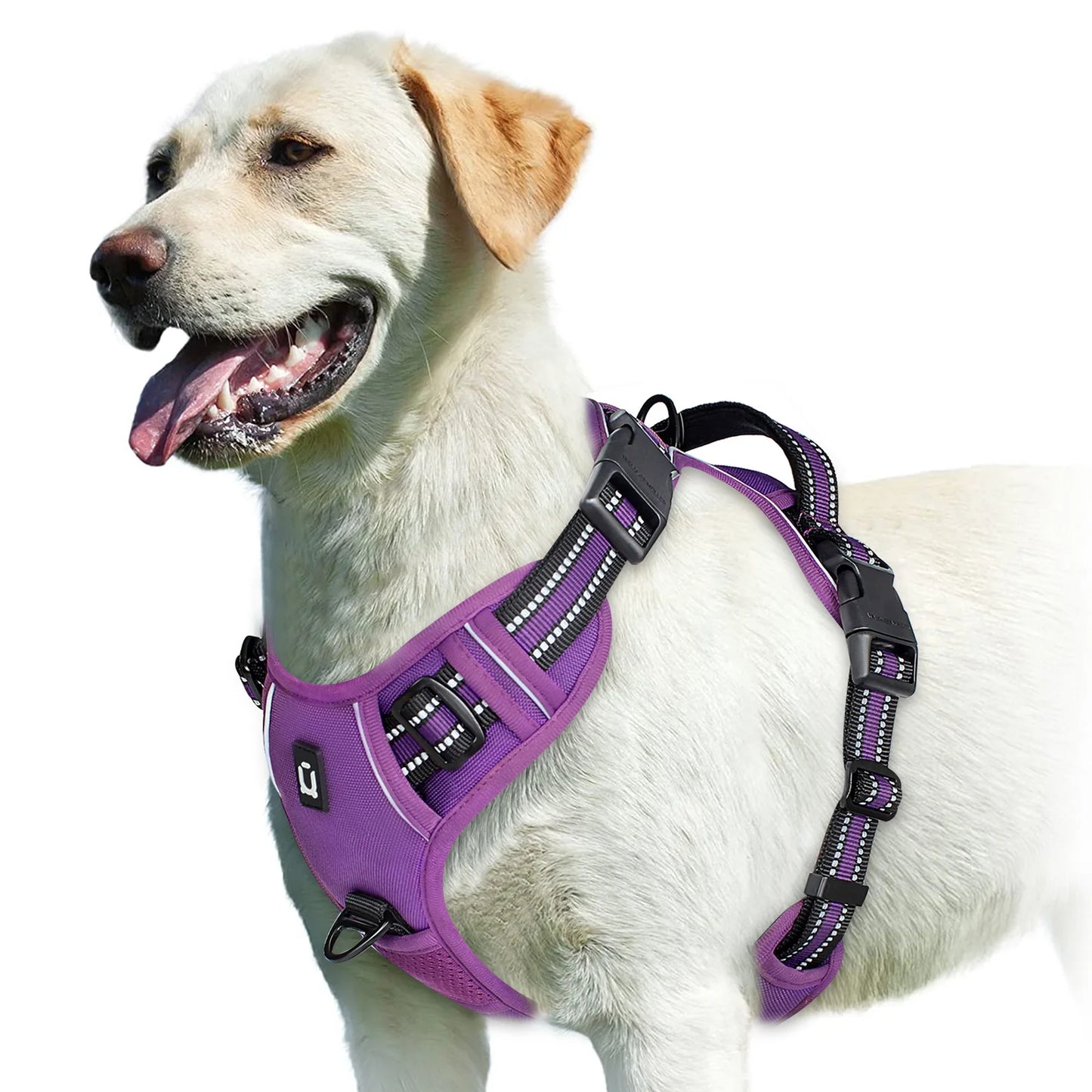 No-Pull Pet Harness