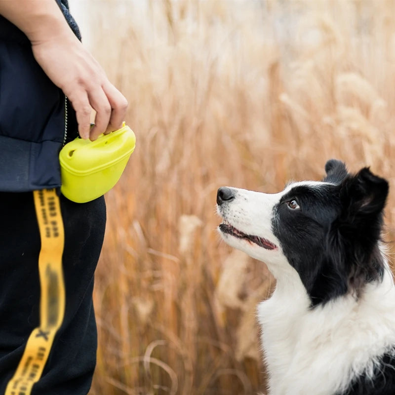 Pet Training Waist Pouch