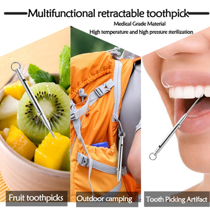 Portable Titanium Toothpicks