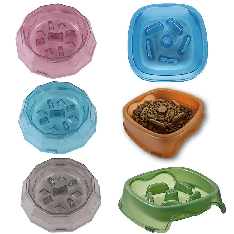 Pet Slow Feed Health Bowl