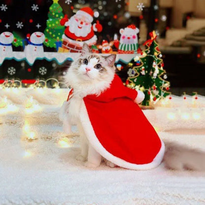 Santa Transform Pet Cape