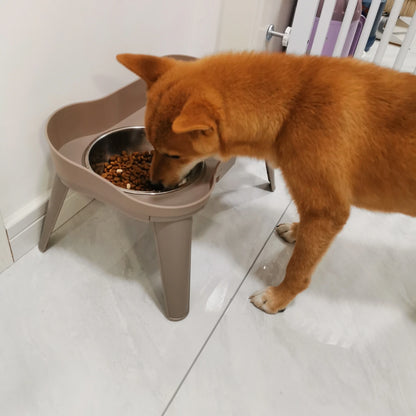 Elevated Dog Bowls