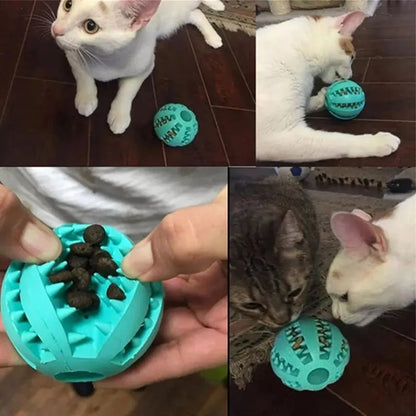 Multi-Function Pet Interactive Rubber Ball