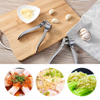 Stainless Steel Garlic Press