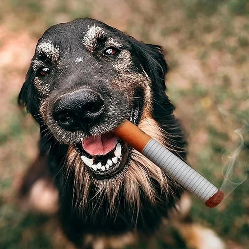 Creative Cigarette Interactive Dog Toy