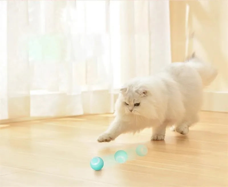 Smart Rolling Pet Ball