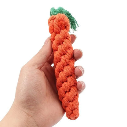 Carrot Knot Pet Toy