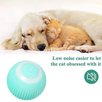 Smart Rolling Pet Ball