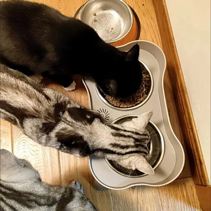 Elevated Dog Bowls