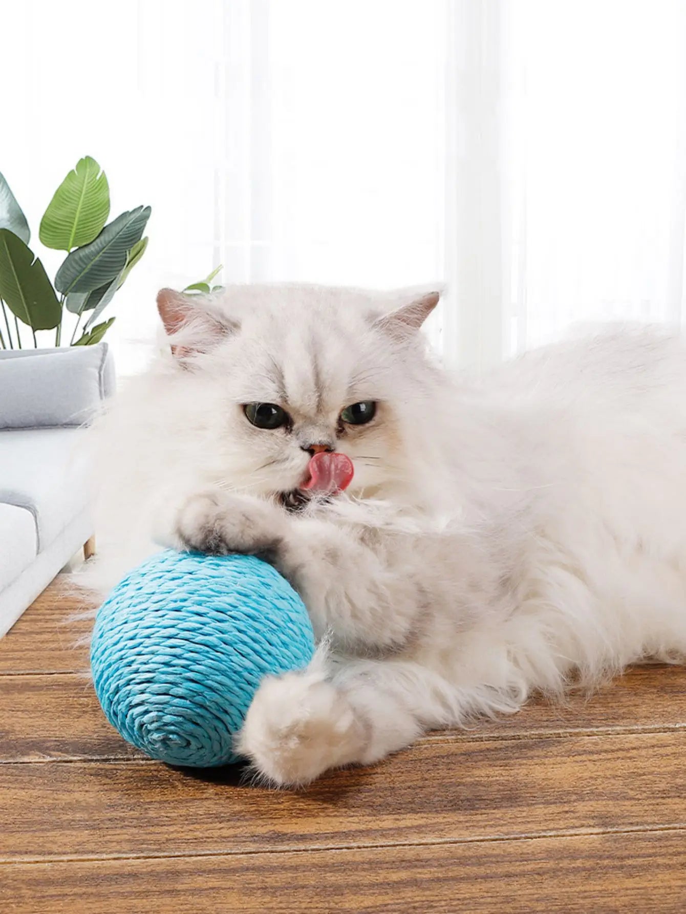 Interactive Sisal Cat Bite Ball